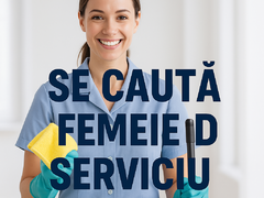 Femeie de serviciu in Elvetia – lucru in ture (sistem de schimb